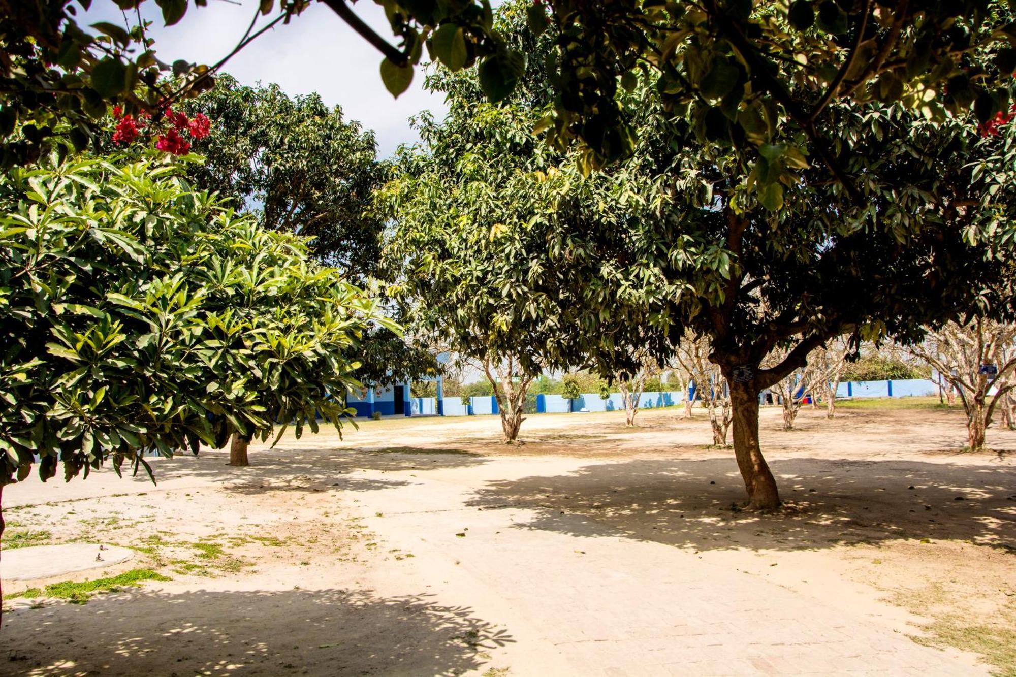 Gooseberry Garden Villa Ayodhya ภายนอก รูปภาพ